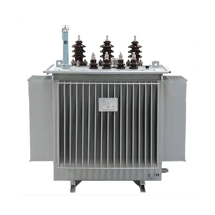 15KV na Ganap na Naka-sealed na Oil Immersed Power Distribution Transformer